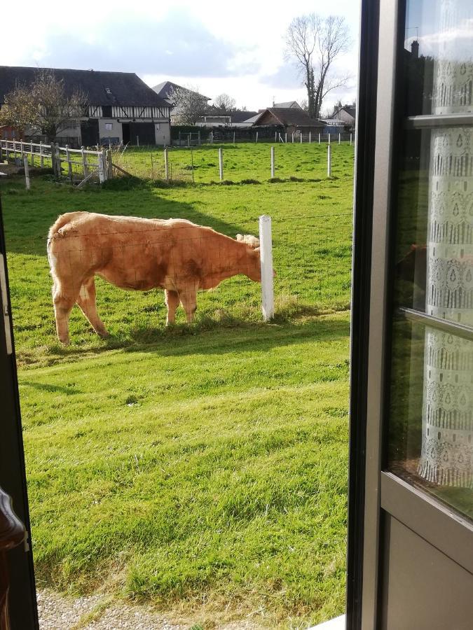 L'Opaline, Jolie Maison Avec Jardin 6 Pers,10Km Honfleur, Linge Et Internet Inclus Beuzeville Exterior foto