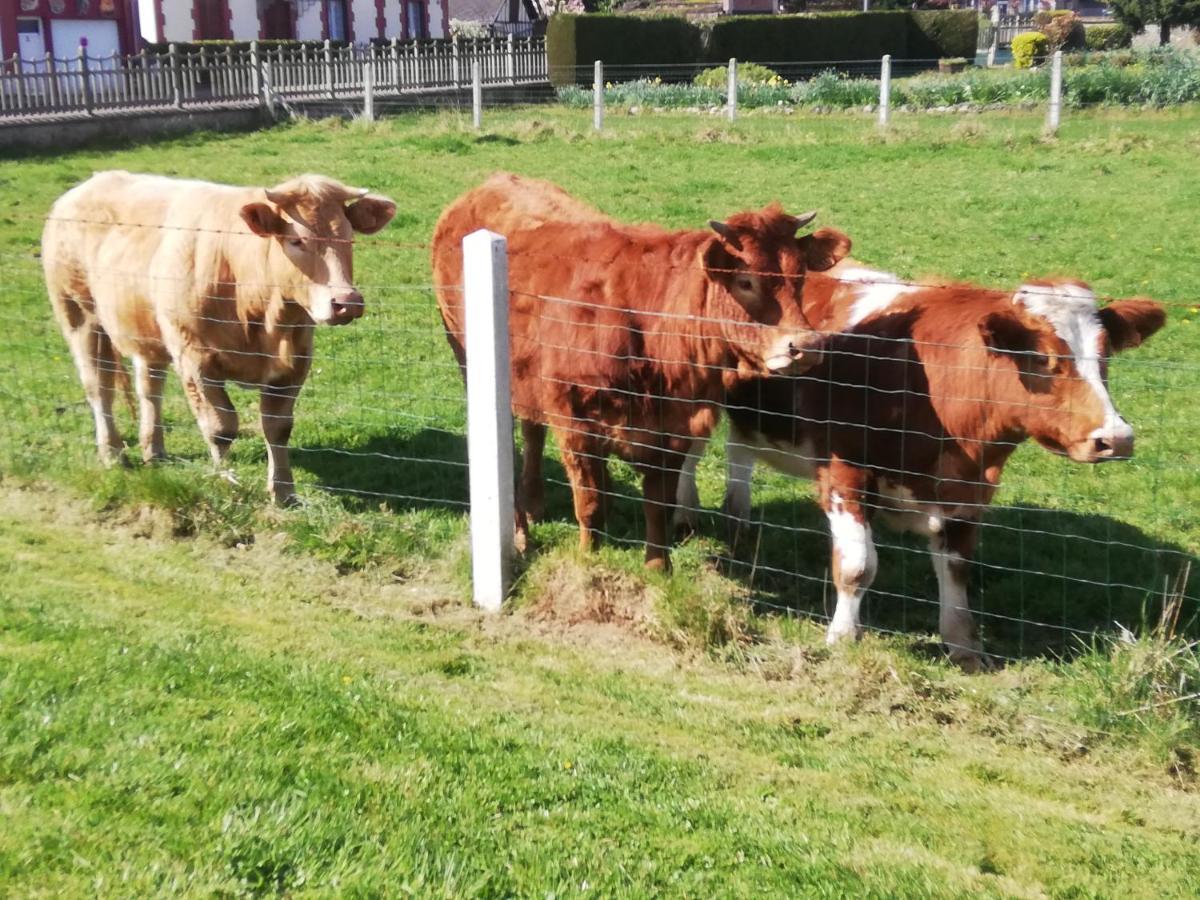 L'Opaline, Jolie Maison Avec Jardin 6 Pers,10Km Honfleur, Linge Et Internet Inclus Beuzeville Exterior foto